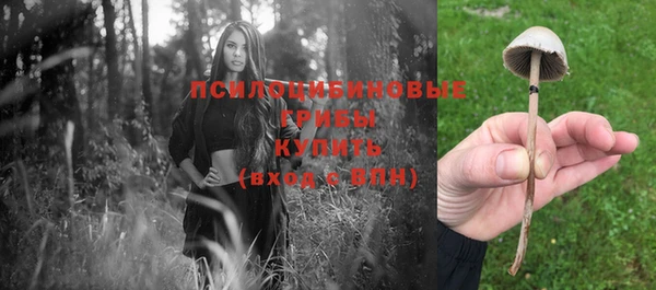 амфетамин Абинск